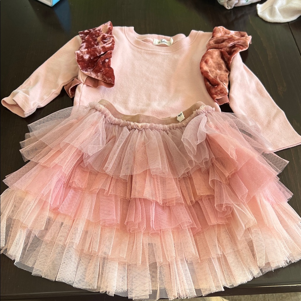 Oh Baby Pink Tulle Skirt and Top Set
